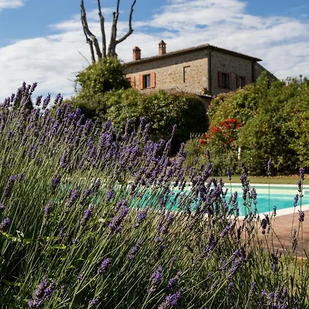 Apartment San Bartolomeo